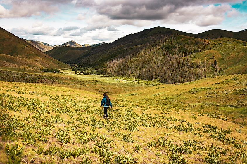 Hailey, Idaho en una caminata.  Montañas Sawtooth, Baldy y Stanley, Idaho.