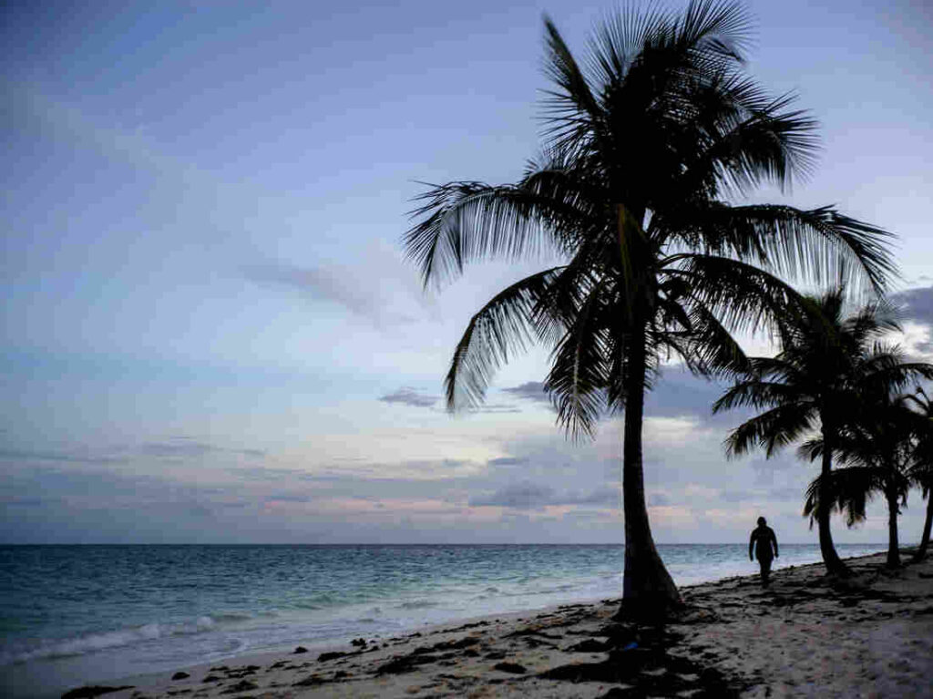 Jamaica y Bahamas rechazan las advertencias de viaje de EE. UU.: NPR