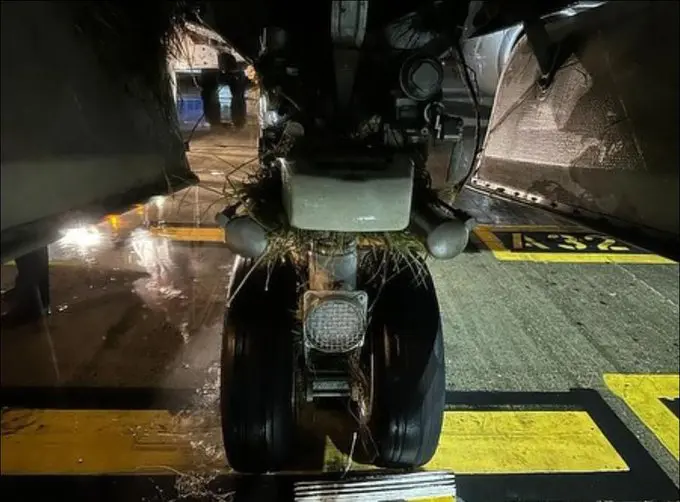 Jamaica: No se reportan víctimas en el accidente aéreo de American Airlines.