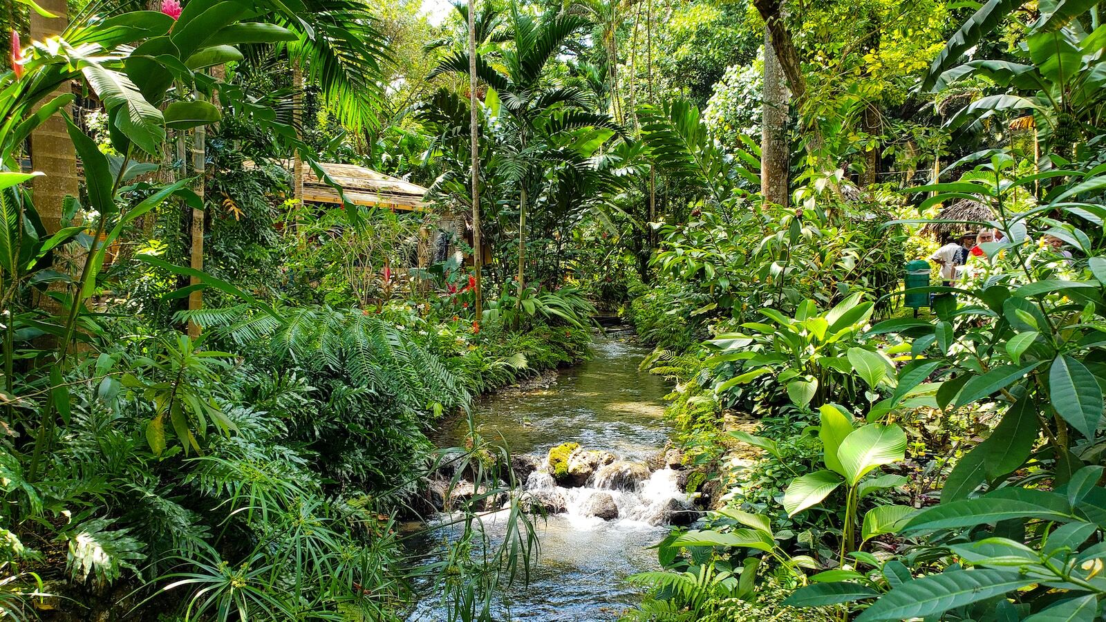 Conoco Falls, Ocho Ríos, Jamaica Hermoso, tropical, exuberante y verde jardín con vegetación fluida y río natural en un día de primavera.