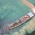 Los miembros de la ISA mantienen conversaciones sobre la regulación de la minería en aguas profundas en Jamaica a medida que crece la oposición  Noticias del mundo