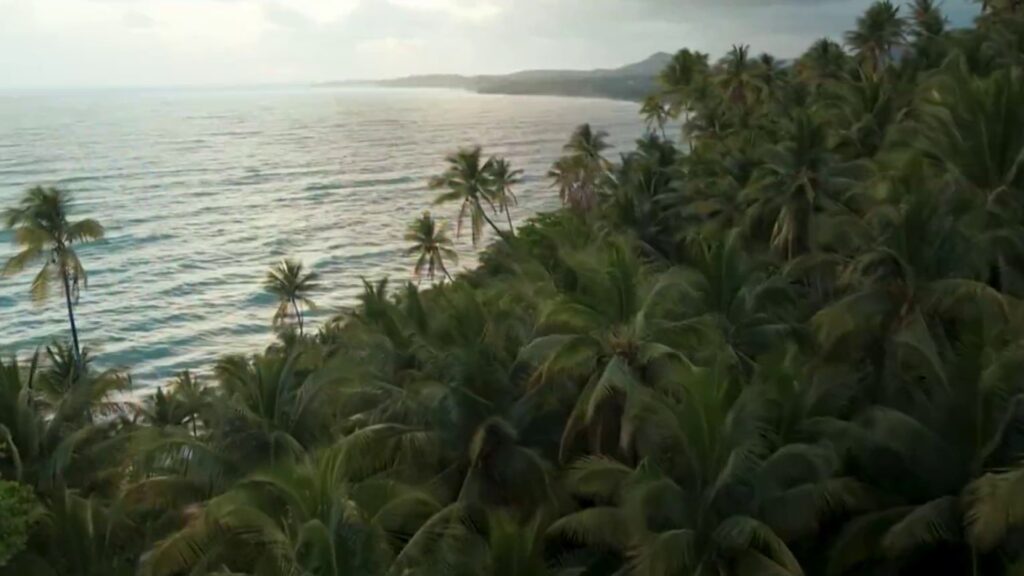 Jamaica, una visita obligada – NBC 6 South Florida
