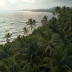 Jamaica, una visita obligada – NBC 6 South Florida