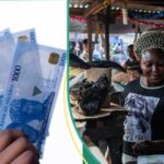 Informe: Nigeria encabeza la lista de países con las economías más dominantes en efectivo del mundo en 2023
