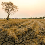 El país con mayor riesgo de sufrir un desastre climático