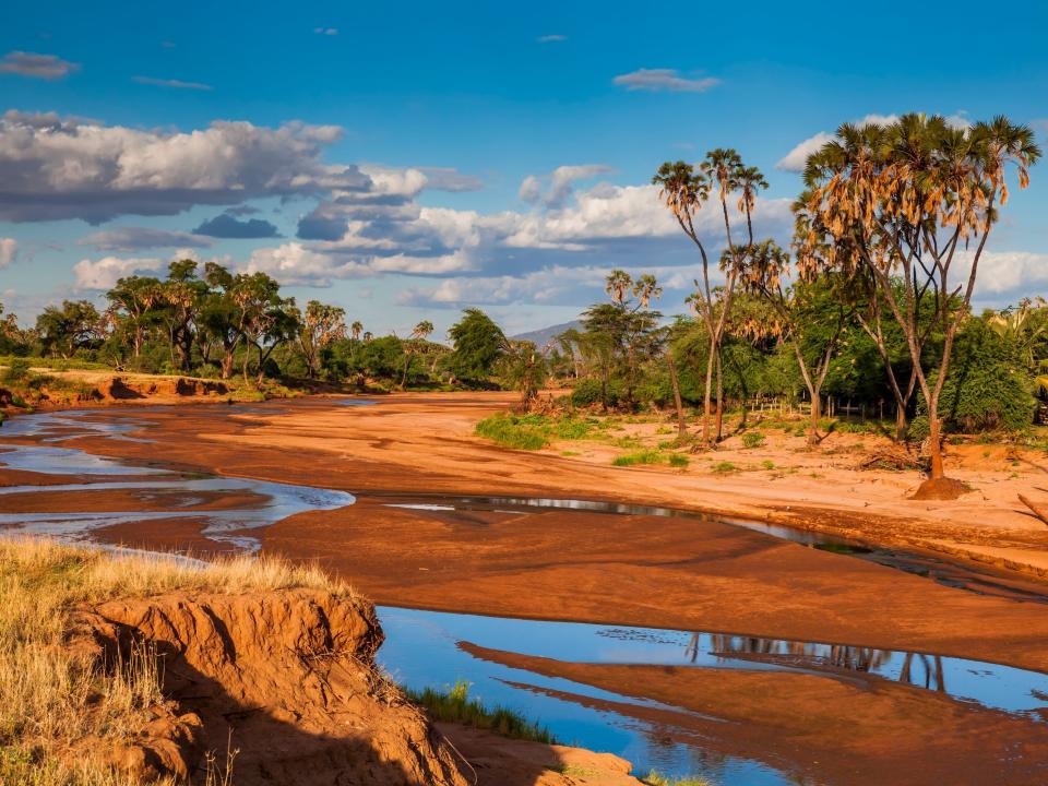 Paisaje africano con palmeras en la orilla del río.