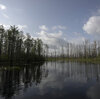 En 'Fen, Bog and Swamp', Annie Proulx narra la destrucción de los humedales.