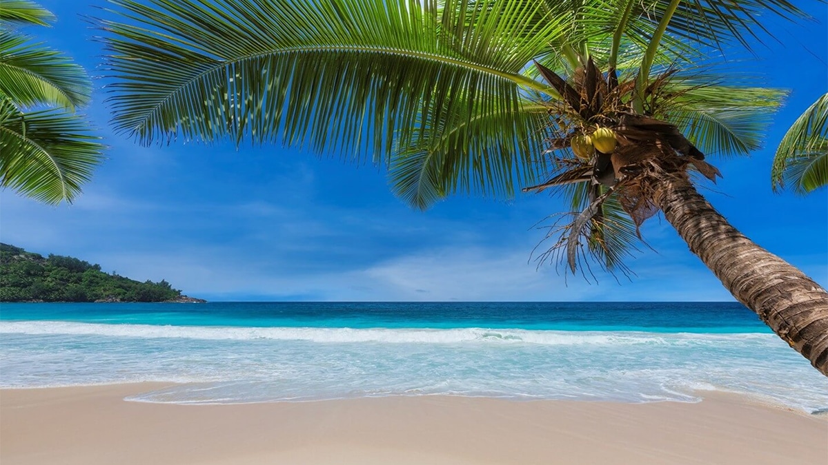 Princess Grand Beach con palmeras