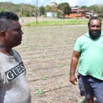 Los residentes de St. Elizabeth sufren por la comida contaminada y cara.