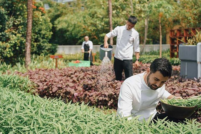 Marriott International, Tendencias alimentarias, Tendencias culinarias