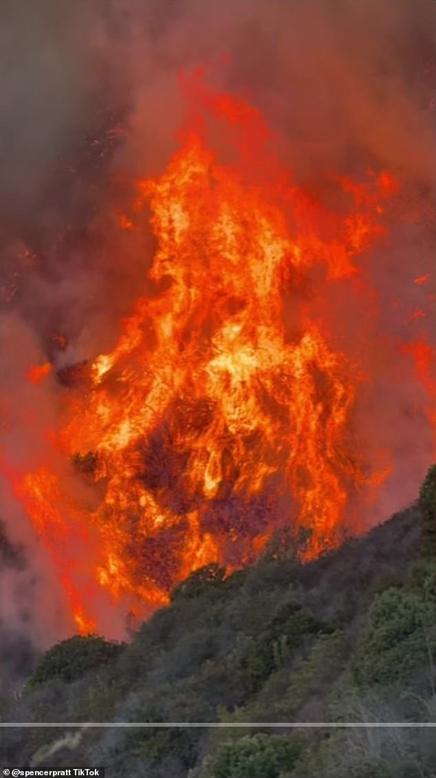 Spencer Pratt y su esposa Heidi Montag perdieron trágicamente su casa en un incendio forestal en el vecindario Pacific Palisades de Los Ángeles.