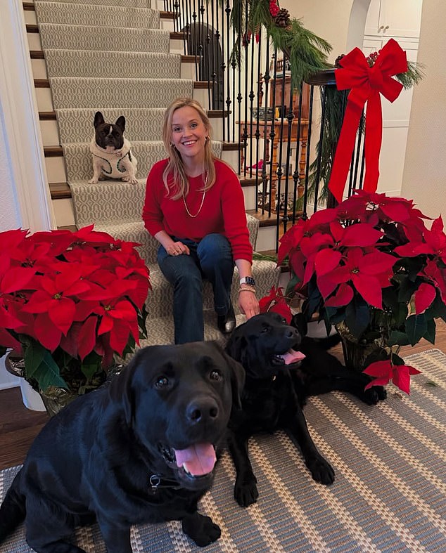 Reese Witherspoon es propietaria de una casa en Fire Zone. No se sabe si ella estaba en Los Ángeles en ese momento y tuvo que irse.