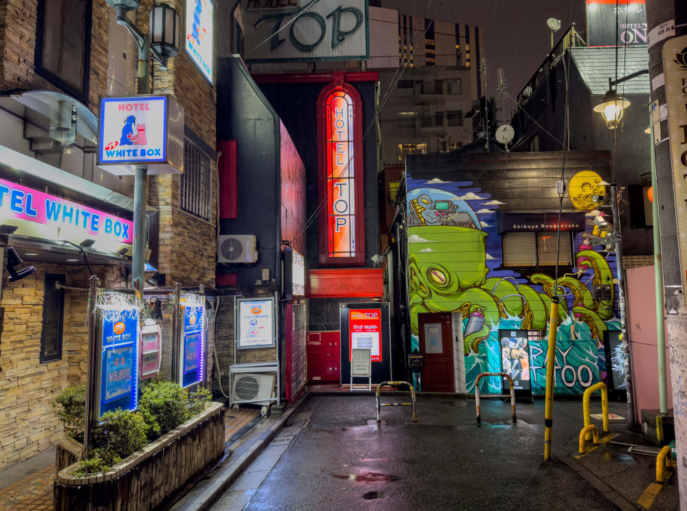 Metrópolis Japón