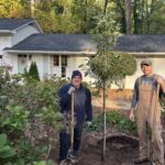 Puede solicitar árboles gratis en el nuevo programa de Resident Dun Woody