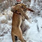 El cazador de trofeo multimillonario de Texas, Asher Watkins, mata a Safari por Buffalo