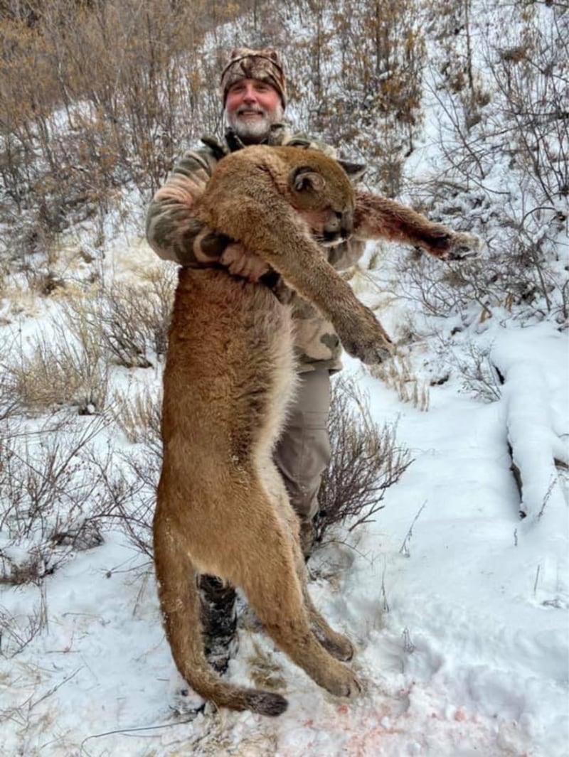Asher Watkins está empujando con un león de montaña.
