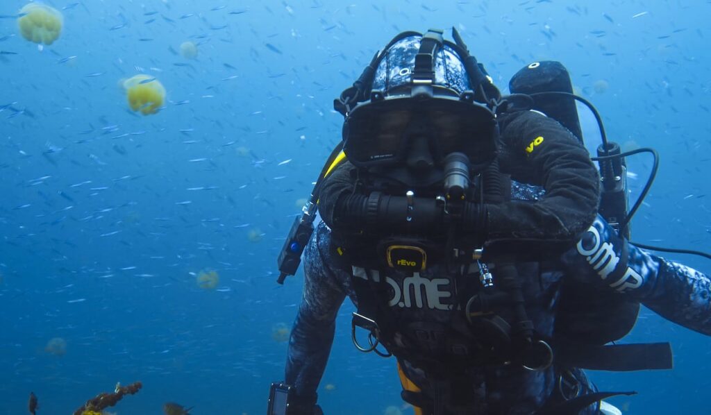«Near Dolphins» con «Berti Gregory» llegará a Disney+ pronto, lo que está en Disney Plus