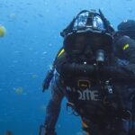 «Near Dolphins» con «Berti Gregory» llegará a Disney+ pronto, lo que está en Disney Plus