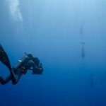 Nut Geo compartió el remolque de «Dolphins cercanos con Berti Gregory».