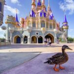 ¡Mantenga los cubos de palomitas de maíz! Esta nueva Copa Re -Prevalent es en este momento el mejor Dell Souvenier de Disney World