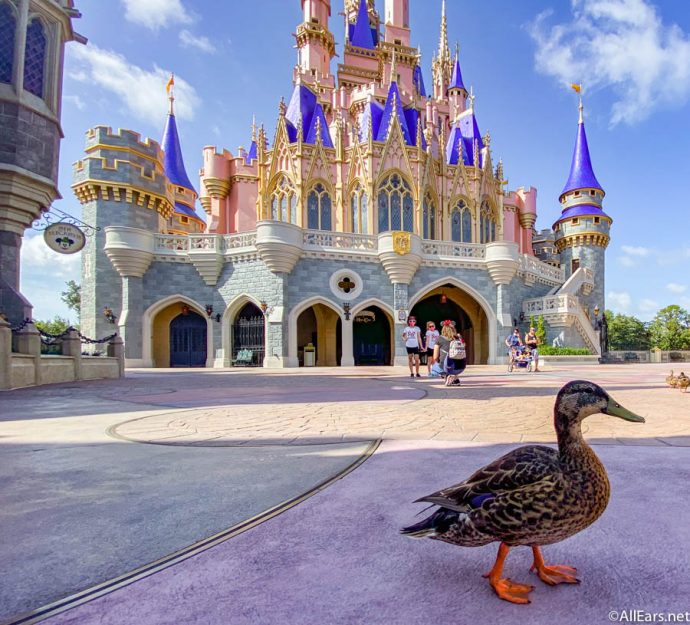 ¡Mantenga los cubos de palomitas de maíz! Esta nueva Copa Re -Prevalent es en este momento el mejor Dell Souvenier de Disney World