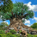 Disney mostró un nuevo mapa del Parque para el Reino Animal, y no creemos que le gustaría