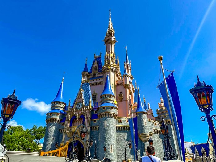 «Regresar se ve un poco aburrido». Los adultos de Disney tienen ideas sobre este gran anuncio del reino mágico