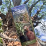 Una ganancia de masa en octubre está saqueando en el reino del animal de Disney