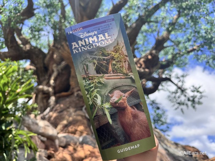 Una ganancia de masa en octubre está saqueando en el reino del animal de Disney