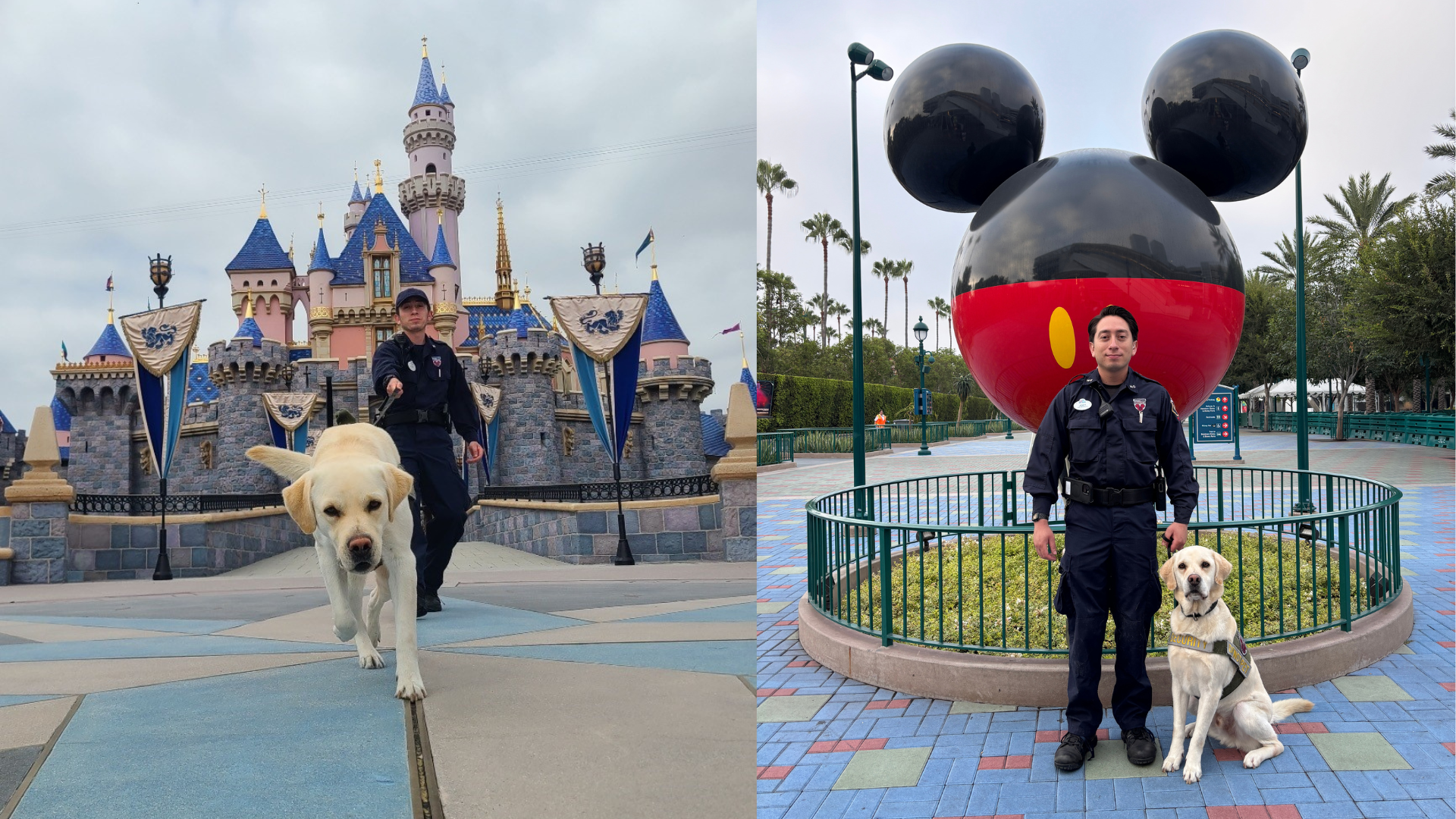Joey y Thor en Disneylandia