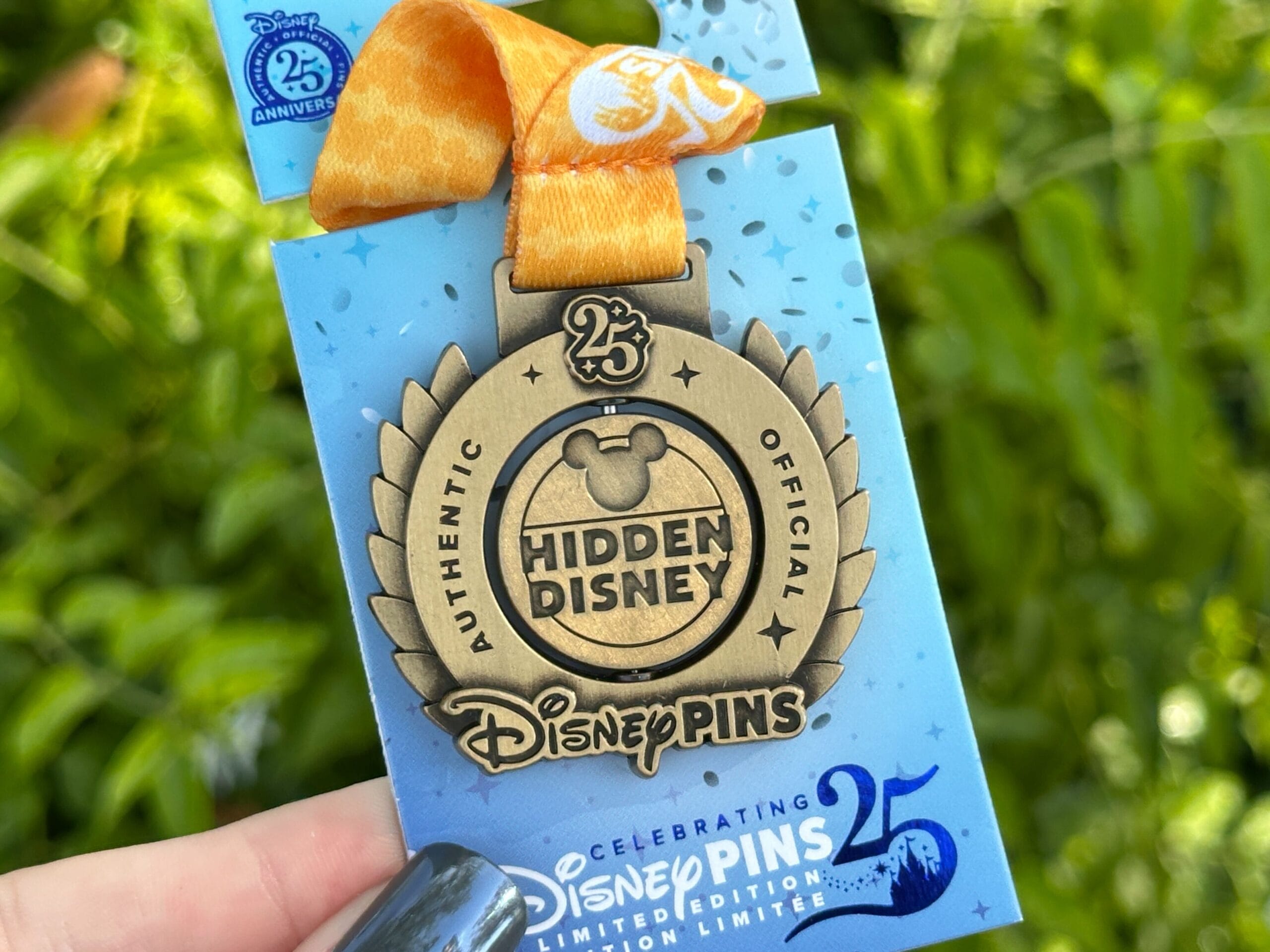 Una serie de cumpleaños número 25 de bronce de Disney World 