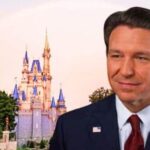Cambios recientes en la Ley de Carrie Open de Florida significan lo que significan los visitantes de Disney World