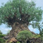 Disney World Eliminación de las ventas de boletos el 12 de septiembre de 2025