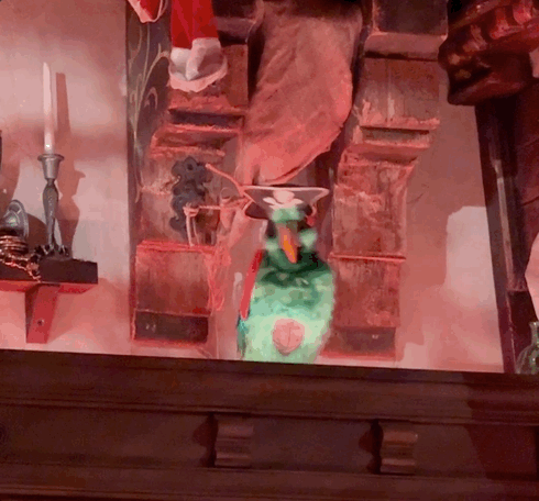 Los imágenes de Disney crearon un nuevo loro anatrónico para Chunch and Barrel Lounge, y roba el espectáculo
