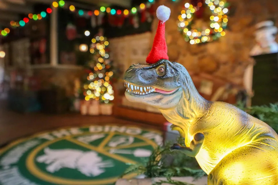 Papá Noel del Reino Animal