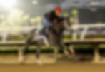 Toque del destino, el orgullo uruguayo hará historia en la Breeders’ Cup