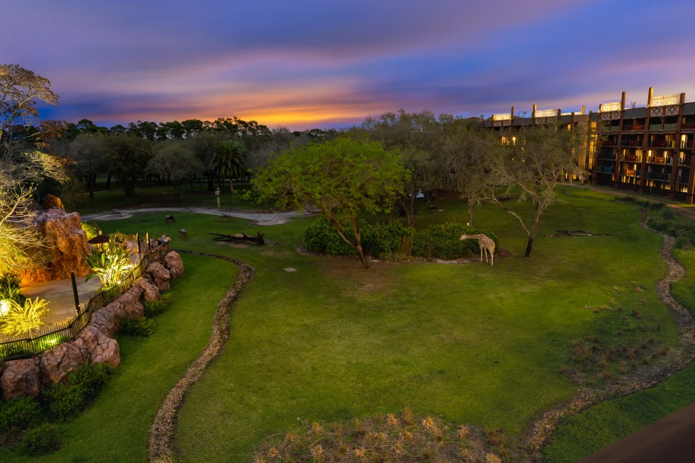 Vista de Disney's Animal Kingdom Lodge Savannah al atardecer