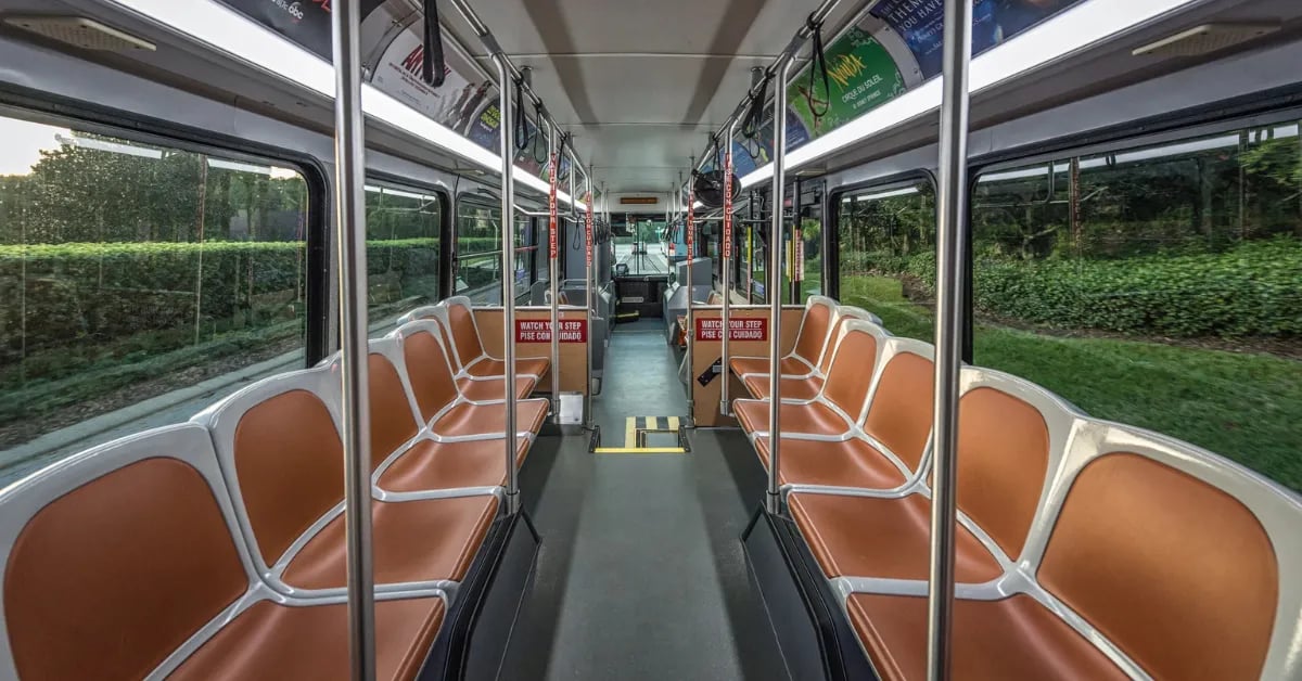 BUS2JUDD -_1_- escalado Autobuses de Disney World