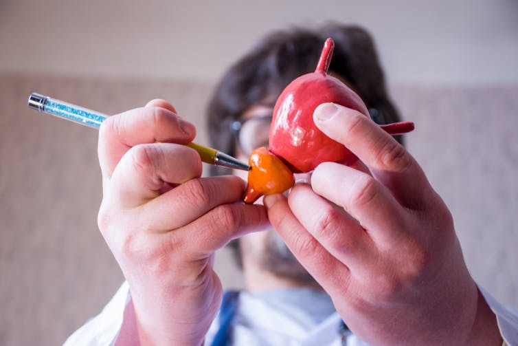 Cómo la testosterona pasó de villana del cáncer de próstata a aliada potencial