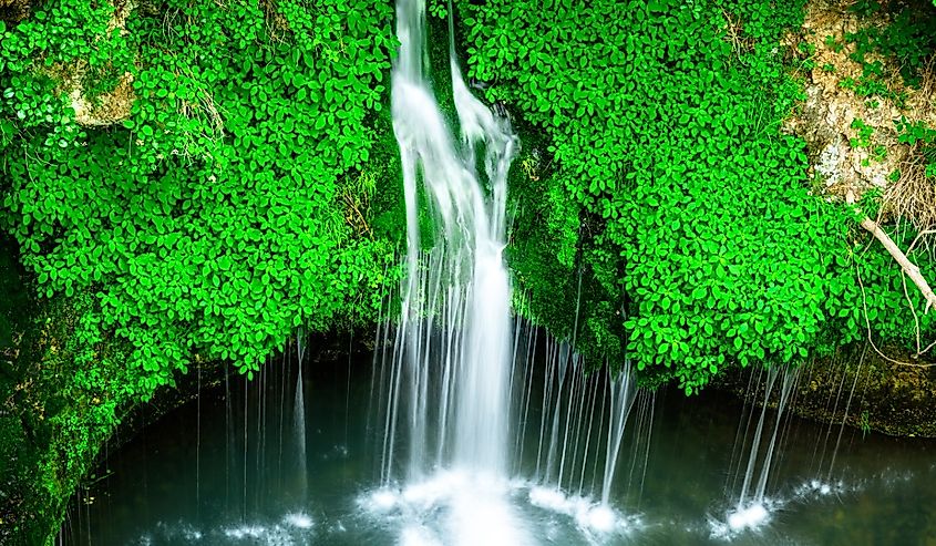 Parque Estatal Scenic Falls