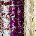 Esas vacaciones de aire púrpura probablemente vinieron de Tailandia, y algunos legisladores quieren cambiar eso.