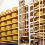 Delter Food amplió su distribución con la adquisición de For Food France