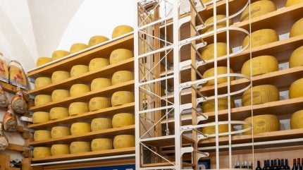 Delter Food amplió su distribución con la adquisición de For Food France