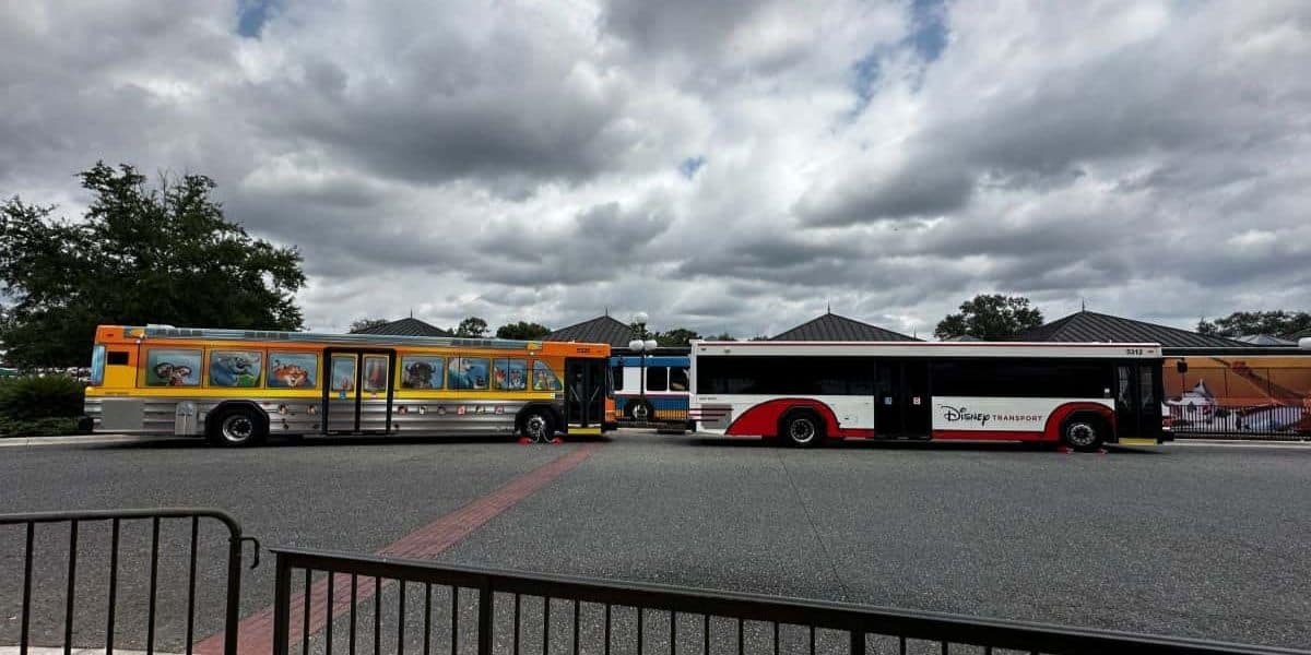 Dos autobuses de transporte de Walt Disney World Resort están estacionados afuera de Magic Kingdom. Evento de autobuses de Disney World.