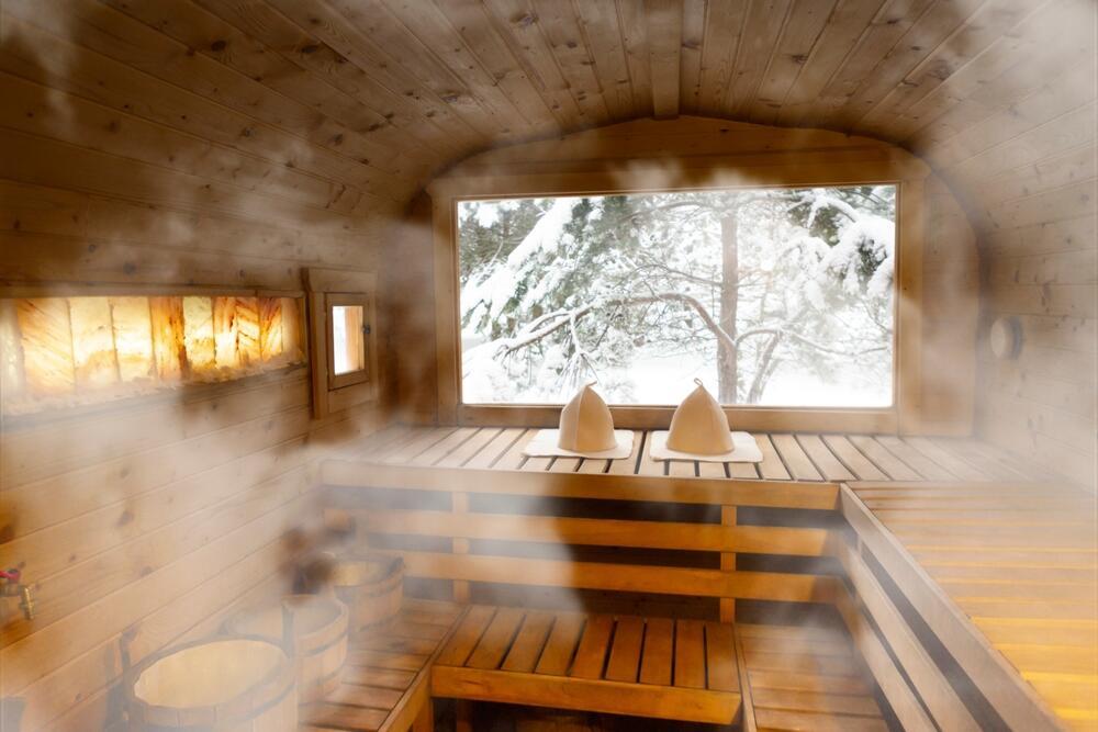En Finlandia hay más de 3,3 millones de oro (Foto: gor Efremychev/Shutterstock) Una sauna común en Finlandia