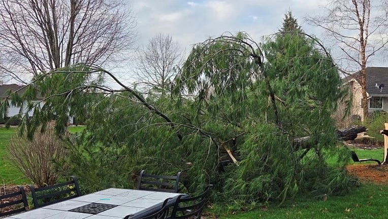 Los escombros de la tormenta en Wisconsin y el riesgo de incendios forestales aumentaron a pesar de las fuertes lluvias.