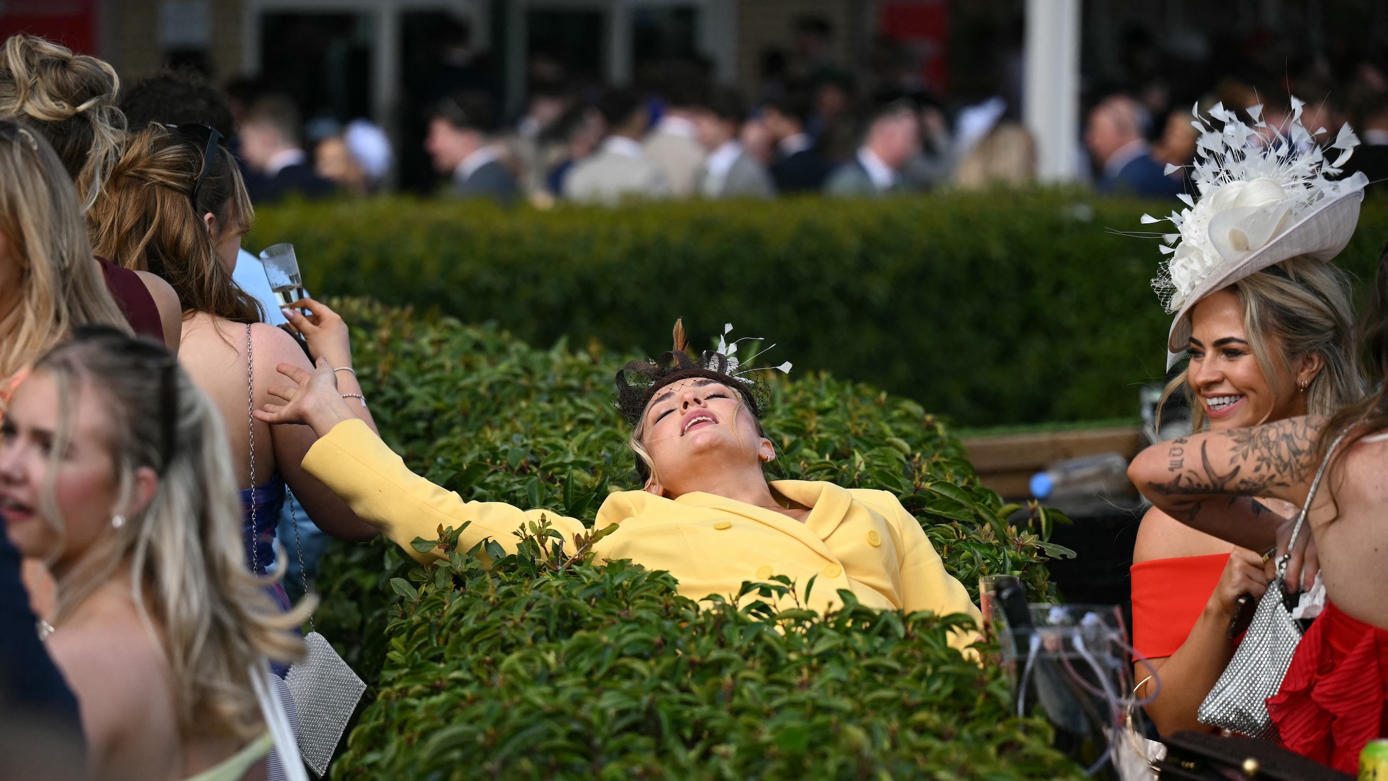 Un chivo expiatorio descansa durante el segundo día del Gran Festival Nacional de Carreras de Caballos en el hipódromo de Aintree el 4 de abril de 2025 en Liverpool, noroeste de Inglaterra. (Foto de Ole Scharf/AFP)