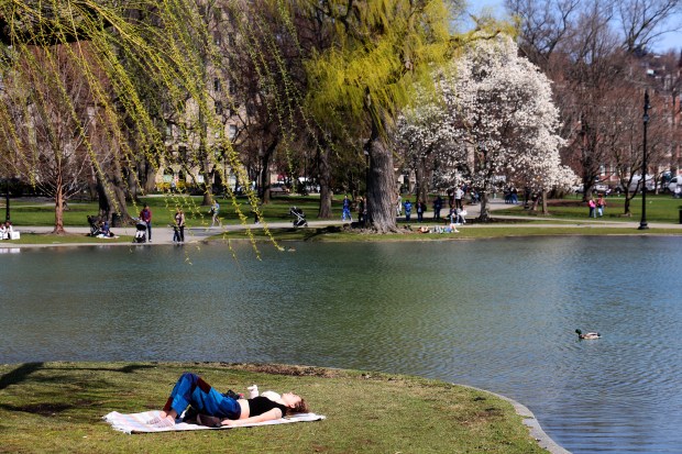Una mujer yace en un jardín público mientras algunos árboles florecen en un cálido día de primavera. (Foto de Matt Stone/Boston Herald)