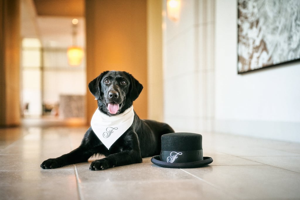 Serene, el perro residente del Fairmont Tokyo. Foto de : Fairmont Tokio